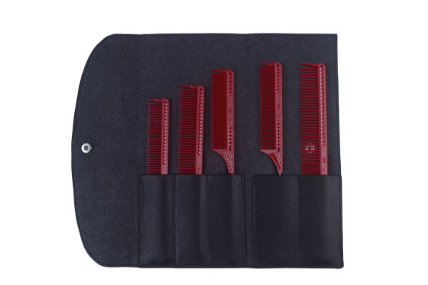 Trousse de 5 peignes JRL