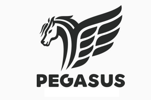 categorie-pegasus.png