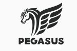 Peignes Pégasus