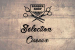 Ciseaux pour Barbier